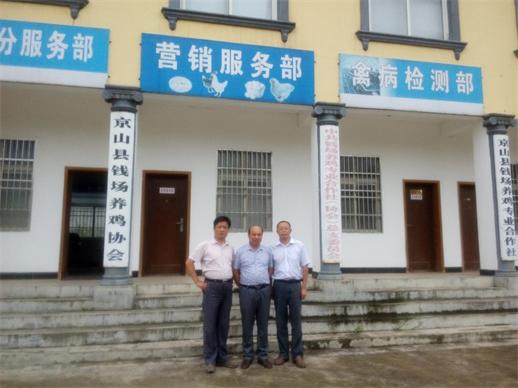 我公司与湖北省京山县钱场养鸡协会达成合作协议